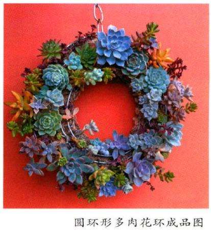 多肉花环