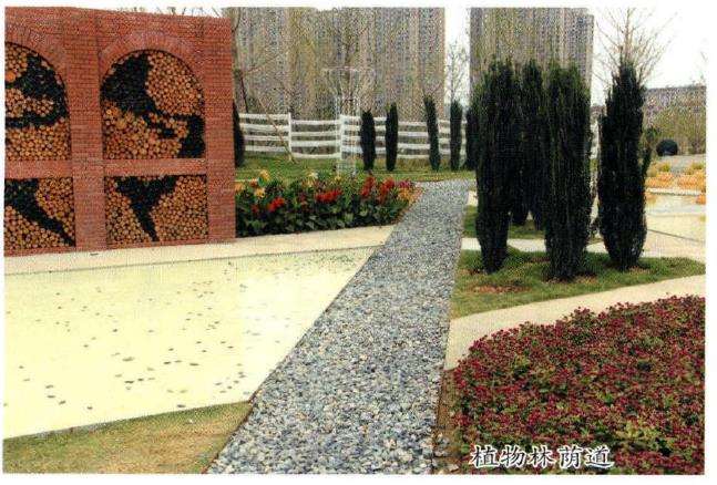 葡萄美酒 浪漫庄园 法国园