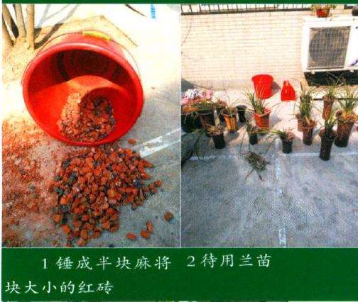 图解 兰花基质材料怎么配制的5个方法