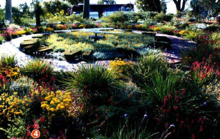 澳大利亚国王公园建于1890年 图片