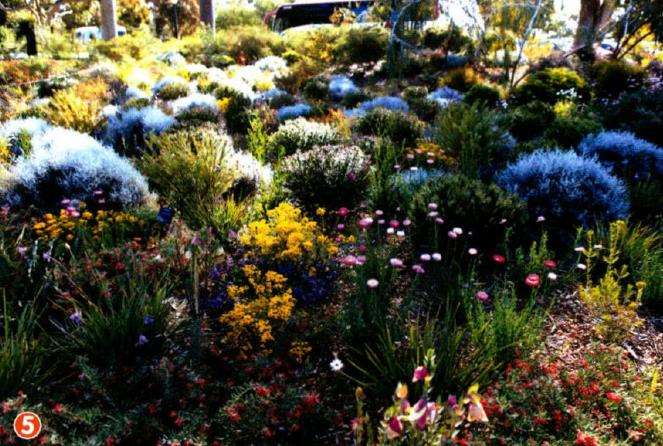 澳大利亚国王公园建于1890年 图片