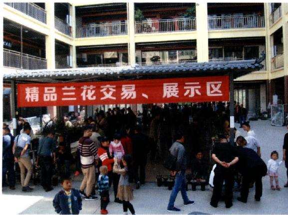 云南兰花产业座谈会盛兰花交易会