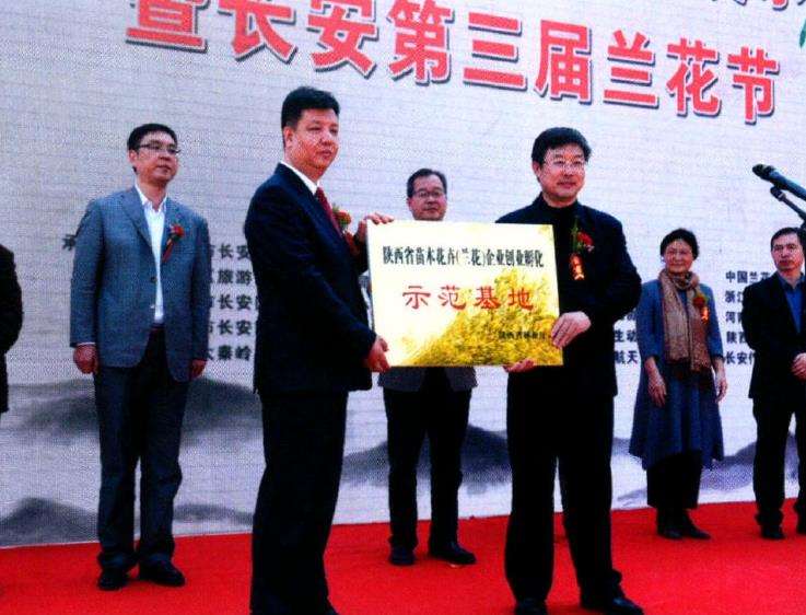 2017年长安第三届兰花节 图片