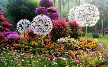 2017年 南京举办多个春花展