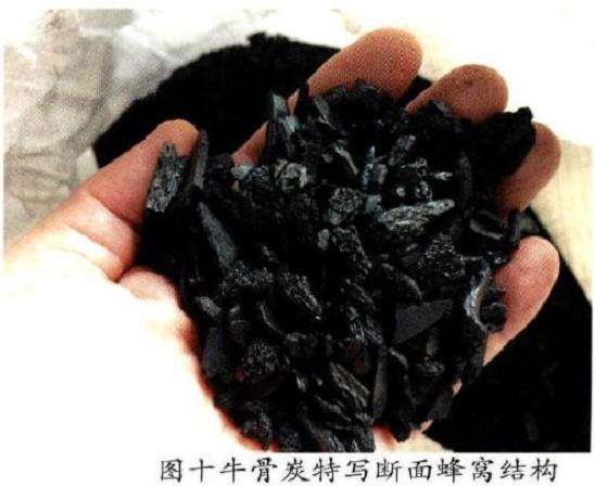 多肉植物怎么使用骨炭的9个步骤 图片