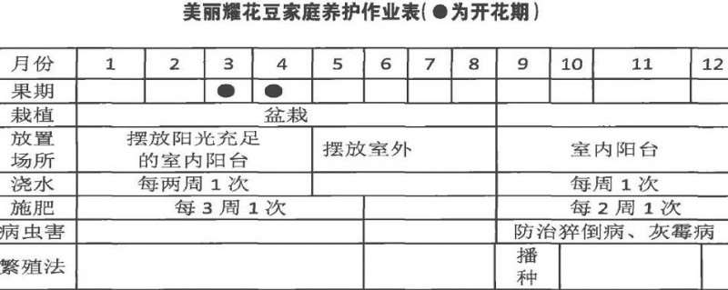 耀花豆怎么栽培管理