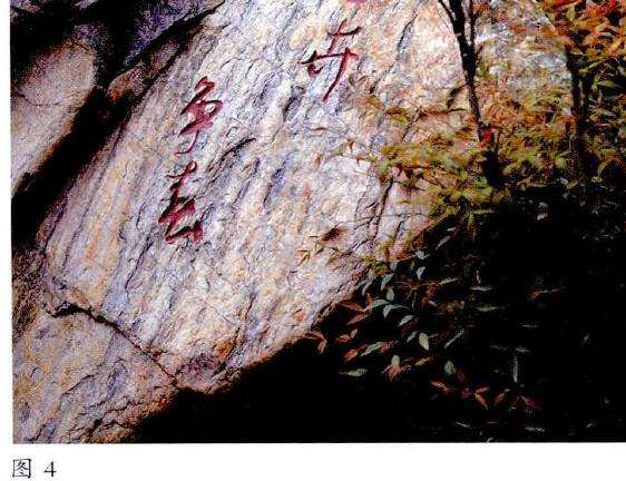 洛阳牡丹园林的5个表现形式 图片