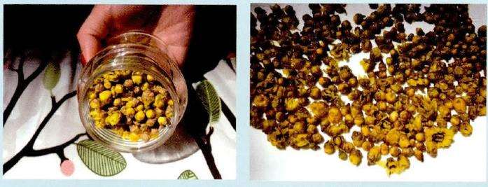 制作蜡梅香水