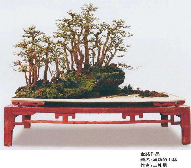 2020 第十届全国盆景展作品选登 图片