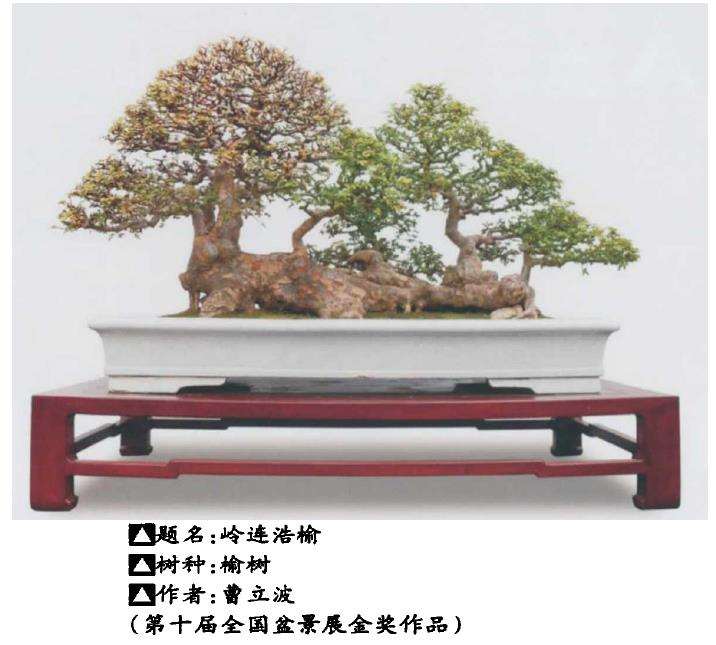 淮安市花木盆景协会成立大会