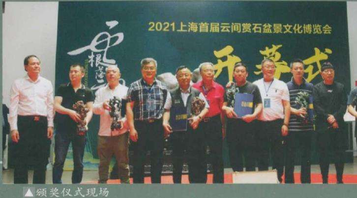 上海盆景文化博览会