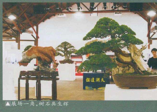 上海盆景文化博览会