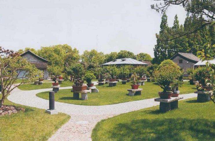 上海举办茂盛山房盆景雅会