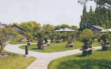 2021 上海举办茂盛山房盆景雅会