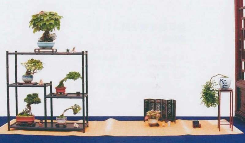 盆景的结构比例