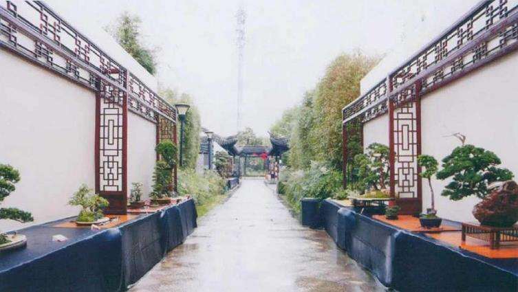 关于创作中遇到的2个实际问题