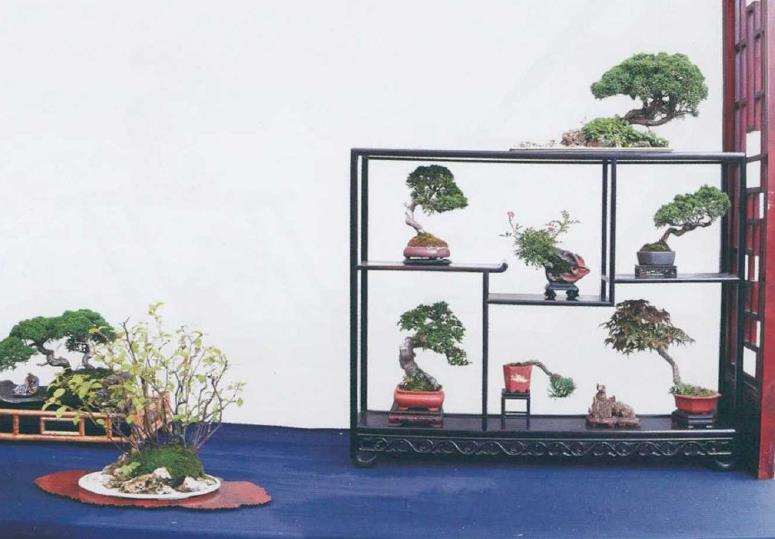 关于创作中遇到的3个实际问题