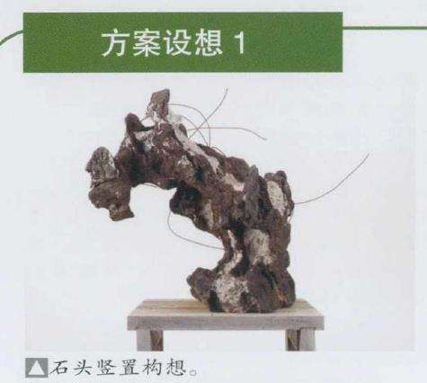 图解 日本真柏盆景造型的33个过程