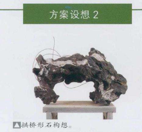 图解 日本真柏盆景造型的33个过程