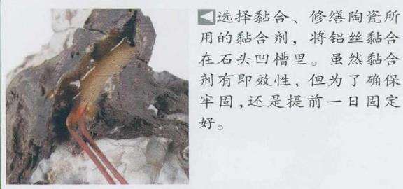 图解 日本真柏盆景造型的33个过程