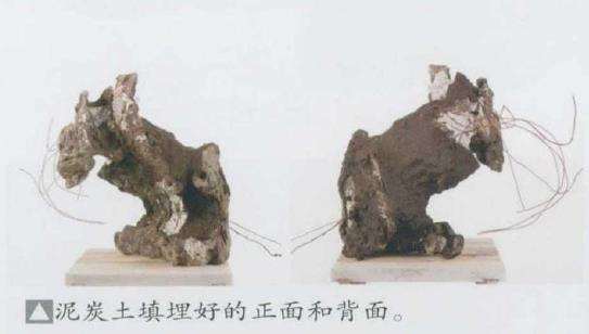 图解 日本真柏盆景造型的33个过程