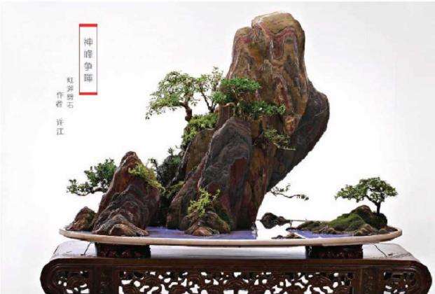 为什么对靖江山水盆景高度评价