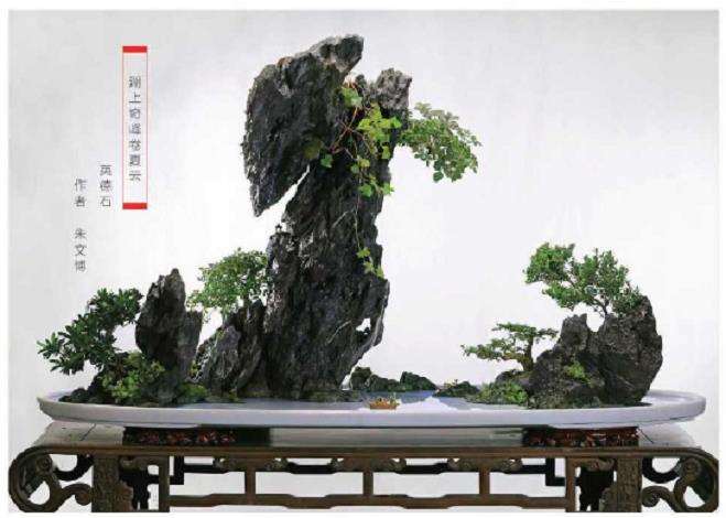 为什么对靖江山水盆景高度评价