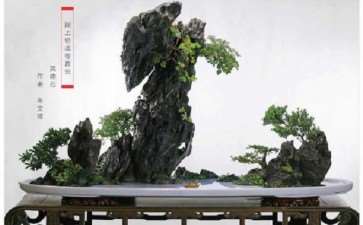 为什么对靖江山水盆景高度评价 图片