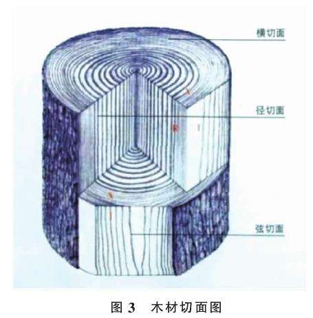木材纹理与人工舍利干盆景的肌理