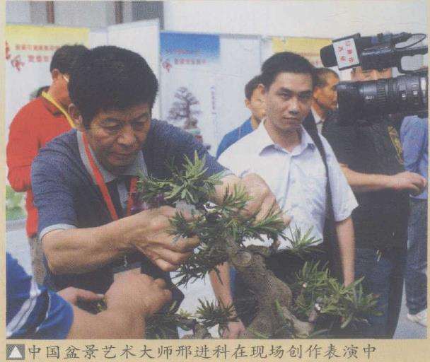 第二届中国唐风盆景展