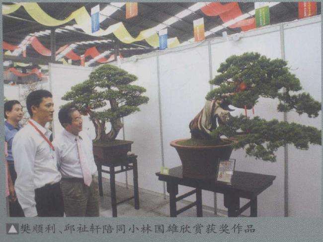 第二届中国唐风盆景展