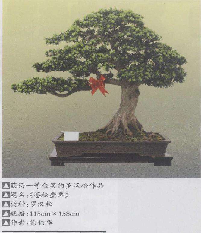 第二届中国唐风盆景展