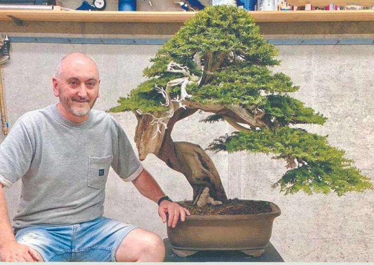 西班牙盆景艺术家 luis vila 图片