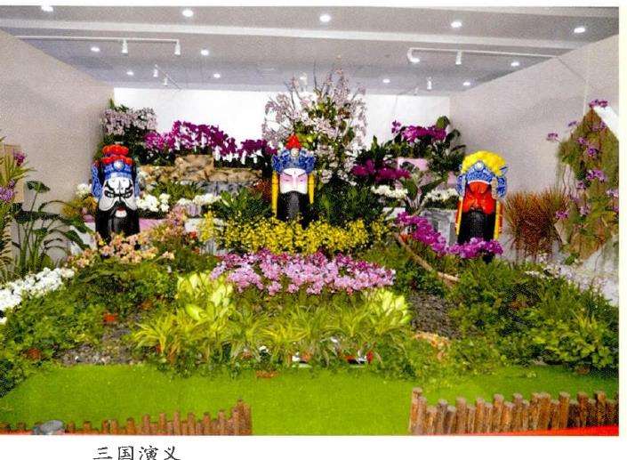 兰花一直受到国内外人士的热烈追捧