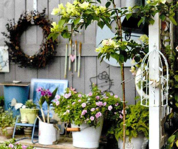 花园梦 已经不记得从何时开始的了