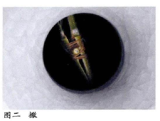 东方花艺怎么插作的7个过程