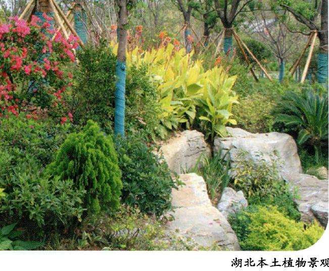 湖北园建在园博园整体布局