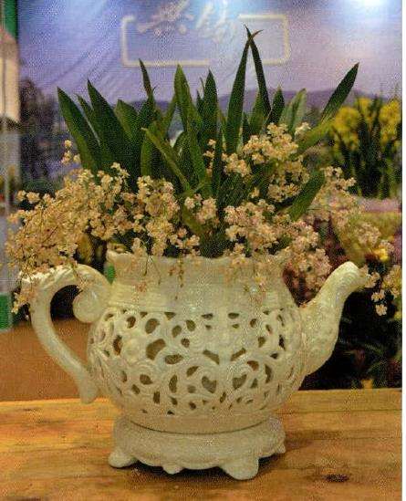 迷你文心兰怎么浇水施肥的3个方法