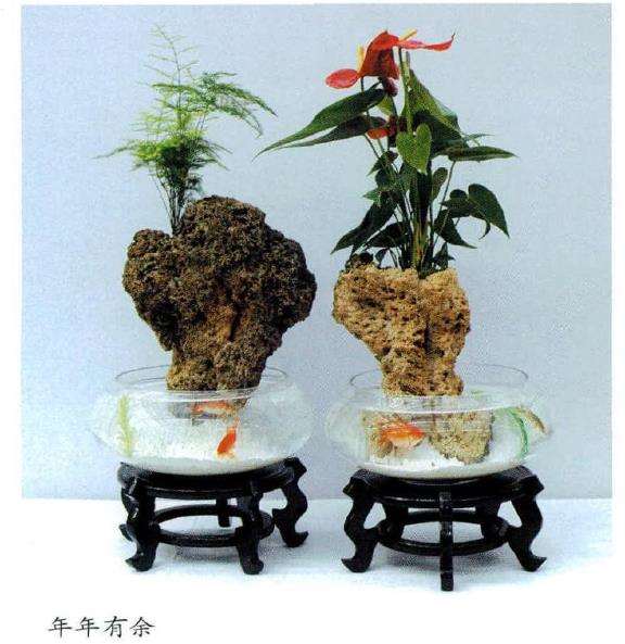 盆艺小品也称盆艺 趣味盆栽