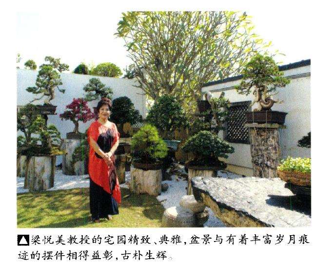 2009年亚太地区第十届盆景展 图片