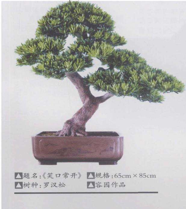 访莆田容园盆景园的园主 郭国廉