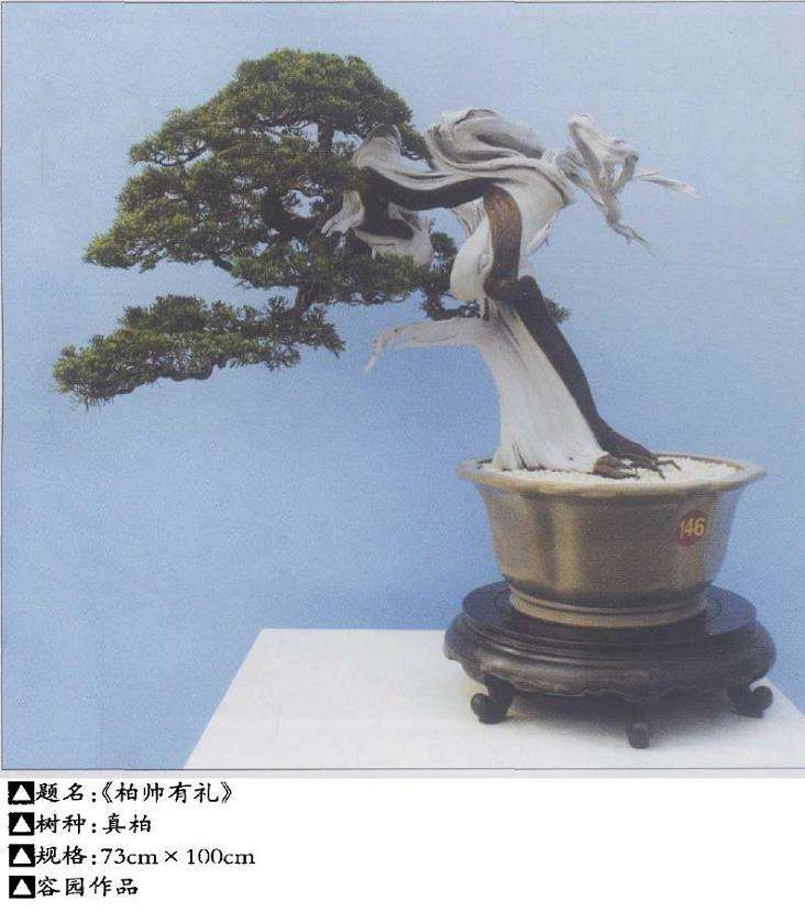 访莆田容园盆景园的园主 郭国廉