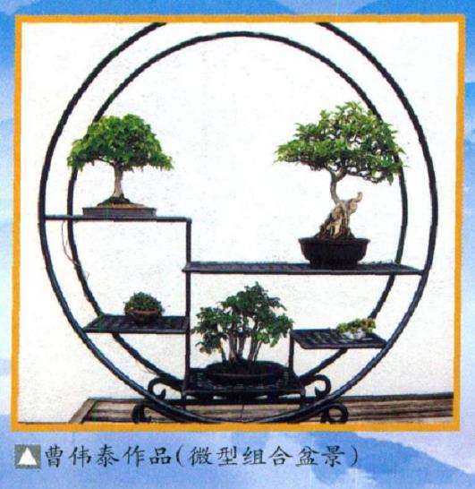 美国西雅图亚太盆景园艺公司