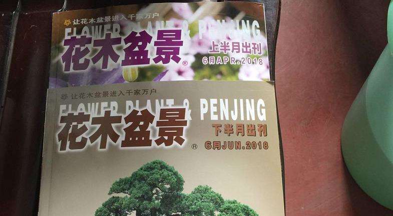 2005年3月 结缘《花木盆景》 图片