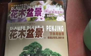 2005年3月 结缘《花木盆景》 图片