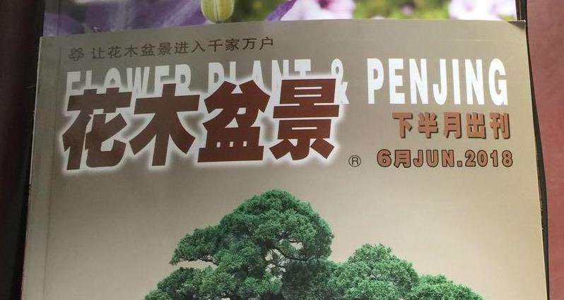 《花木盆景》在悄悄影响我的盆景情趣