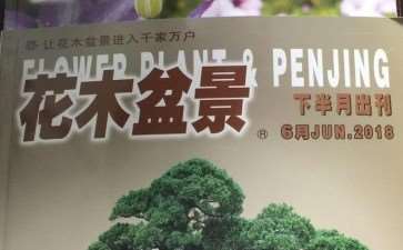 《花木盆景》在悄悄影响我的盆景情趣
