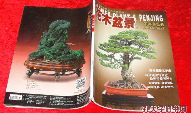 当我开始凝神思索着《花木盆景》杂志