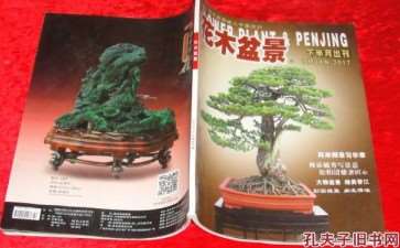 当我开始凝神思索着《花木盆景》杂志