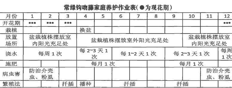 常绿钩吻藤盆栽怎么浇水施肥的3个方法